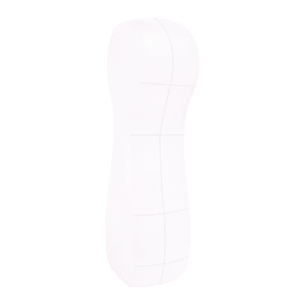 4001-CASE?side view of PMD Clean storage case